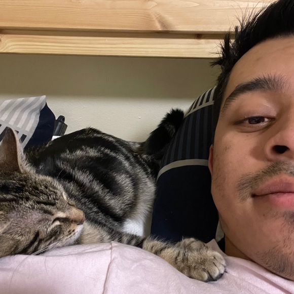 Meet your Posher, Rene - Picture 1 of 1